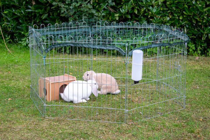 dobar Freilaufgehege